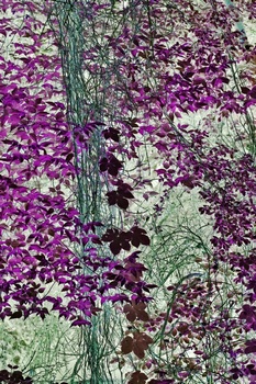 N 011F